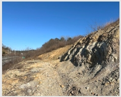  2024Ÿ��1260 ��� ������ ������ ������ 531      ����(��1)���