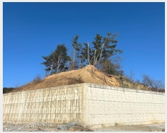  2024Ÿ��1260 ��� ������ ������ ������ 531      ����(��1)���