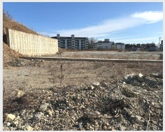  2024Ÿ��1260 ��� ������ ������ ������ 531      ����(��1)���