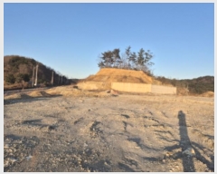  2024Ÿ��1260 ��� ������ ������ ������ 531      ����(��1)���