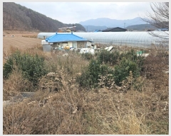  2024Ÿ��1284 ��� ���籺 ����� �߸��� 309-1      ����(��1)���