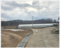  2024Ÿ��1284 ��� ���籺 ����� �߸��� 309-1      ����(��1)���