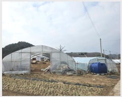  2024Ÿ��1284 ��� ���籺 ����� �߸��� 309-1      ����(��1)���