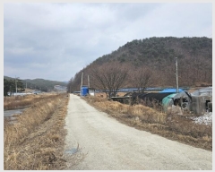  2024Ÿ��1284 ��� ���籺 ����� �߸��� 309-1      ����(��1)���