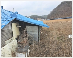  2024Ÿ��1284 ��� ���籺 ����� �߸��� 309-1      ����(��1)���