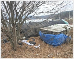  2024Ÿ��1284 ��� ���籺 ����� �߸��� 309-1      ����(��1)���