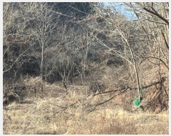  2024Ÿ10288     188-3      â