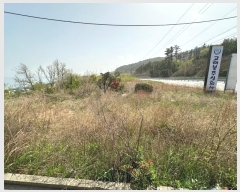  2024Ÿ10523    鼮 204      ()