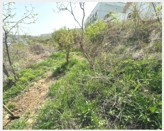  2024Ÿ10523    鼮 204      ()