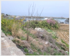  2024Ÿ10523    鼮 204      ()