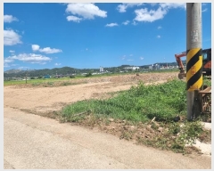  2024Ÿ��11304 ��� ������ ������ õ���� 223-18      ����(��)���