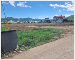  2024Ÿ��11304 ��� ������ ������ õ���� 223-18      ����(��)���