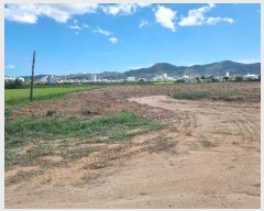  2024Ÿ��11304 ��� ������ ������ õ���� 223-18      ����(��)���