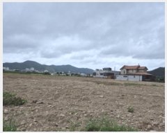  2024Ÿ��11304 ��� ������ ������ õ���� 223-18      ����(��)���