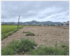  2024Ÿ��11304 ��� ������ ������ õ���� 223-18      ����(��)���