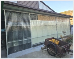  2024Ÿ��11502  ���ð��