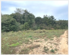  2024Ÿ��11601 ��� ������ ������ ��ź�� 342      ����(��)���