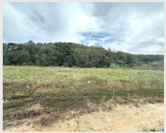  2024Ÿ��11601 ��� ������ ������ ������ 652-9      �ܵ�����,�����ð��