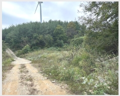  2024Ÿ��11601 ��� ������ ������ ������ 652-9      �ܵ�����,�����ð��