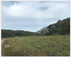  2024Ÿ��11601 ��� ������ ������ ������ 652-9      �ܵ�����,�����ð��