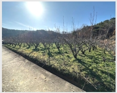  2024Ÿ��11908  �Ӿ߰��