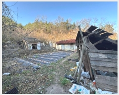  2024Ÿ��11908  �Ӿ߰��