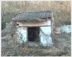  2024Ÿ��11908  �Ӿ߰��