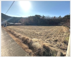  2024Ÿ��11908  �Ӿ߰��