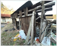  2024Ÿ��11908  �Ӿ߰��