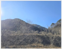  2024Ÿ11984   ǰ ϸ 95-1      (Ӿ)