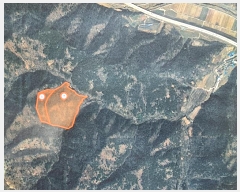  2024Ÿ11984   ǰ ϸ 95-1      (Ӿ)