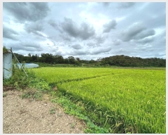  2024Ÿ2839  ׽    530     (1)