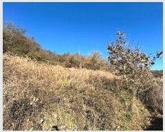  2024Ÿ2839  ׽    530     (1)