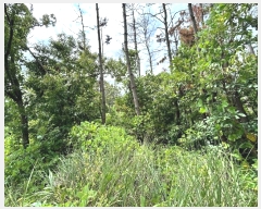  2024Ÿ2839  ׽    530     (1)