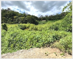  2024Ÿ2839  ׽    530     (1)