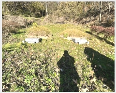  2024Ÿ2839  ׽    530     (1)