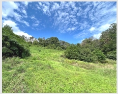  2024Ÿ2839  ׽    530     (1)