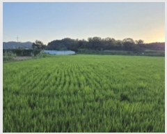  2024Ÿ2839  ׽    530     (1)