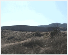  2024Ÿ��3870 ��� ���׽� ���� ȣ�̰��� ���縮 778-4     ����(��)���