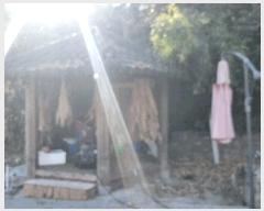  2024Ÿ4323  ׽ ϱ  踮 1083-3     ()