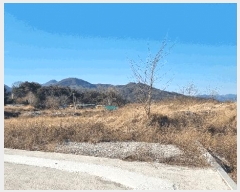  2024Ÿ4323  ׽ ϱ  踮 1083-3     ()