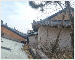  2024Ÿ4323  ׽ ϱ  踮 1083-3     ()