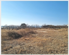  2024Ÿ4729  ׽ ϱ  鸮 225-1     ()