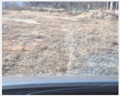  2024Ÿ4729  ׽ ϱ  鸮 225-1     ()