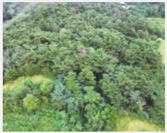  2024Ÿ��33635 ��� ���׽� �ϱ� �ű��� �ü��� ��56     ����(�Ӿ�)���