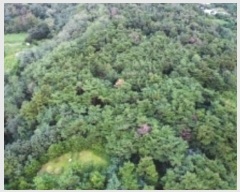  2024Ÿ��33635 ��� ���׽� �ϱ� �ű��� �ü��� ��56     ����(�Ӿ�)���