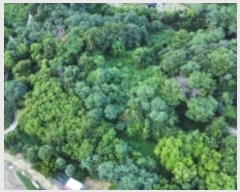  2024Ÿ��33635 ��� ���׽� �ϱ� �ű��� �ü��� ��56     ����(�Ӿ�)���