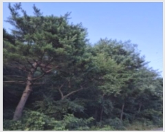  2024Ÿ��33635 ��� ���׽� �ϱ� �ű��� �ü��� ��56     ����(�Ӿ�)���