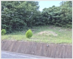  2024Ÿ��33635 ��� ���׽� �ϱ� �ű��� �ü��� ��56     ����(�Ӿ�)���