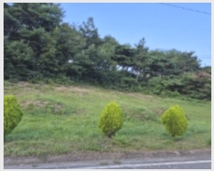  2024Ÿ��33635 ��� ���׽� �ϱ� �ű��� �ü��� ��56     ����(�Ӿ�)���